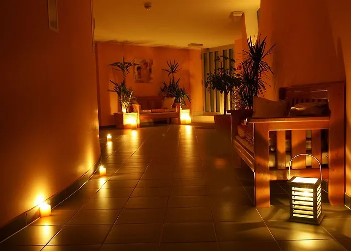 Zora פרימוסטן